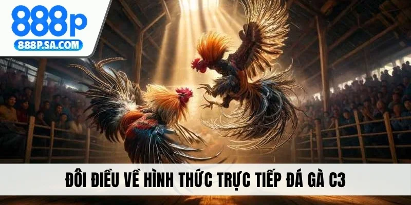 Đôi điều về hình thức trực tiếp đá gà C3