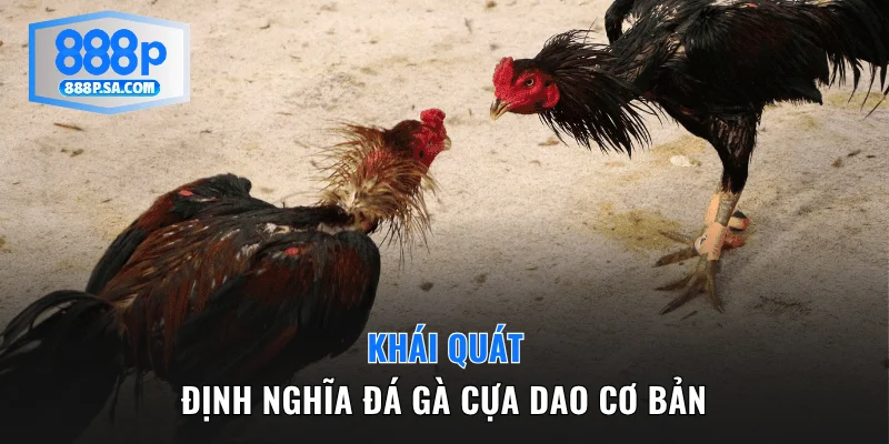 Khái quát định nghĩa đá gà cựa dao