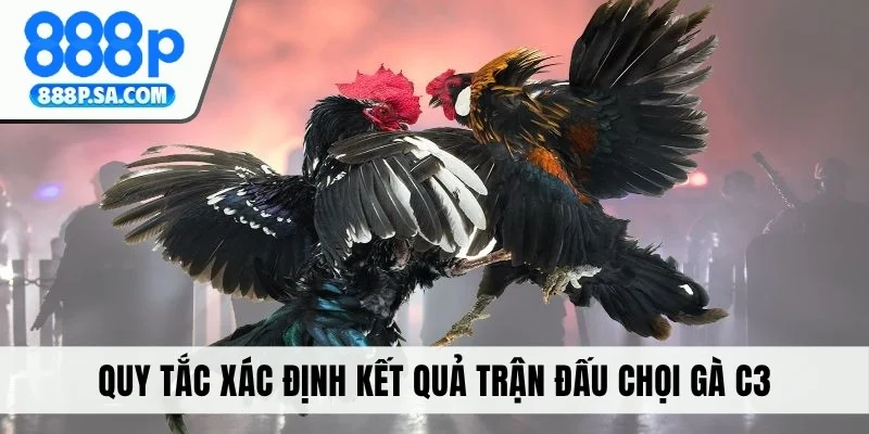 Quy tắc xác định kết quả trận đấu chọi gà C3