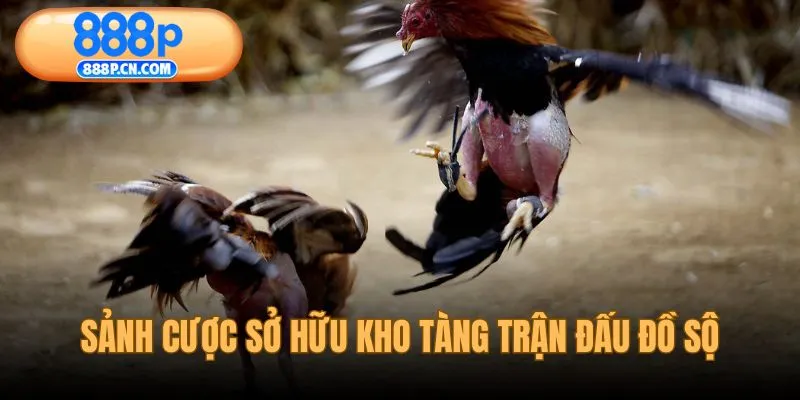 Sảnh cược sở hữu kho tàng trận đấu đồ sộ